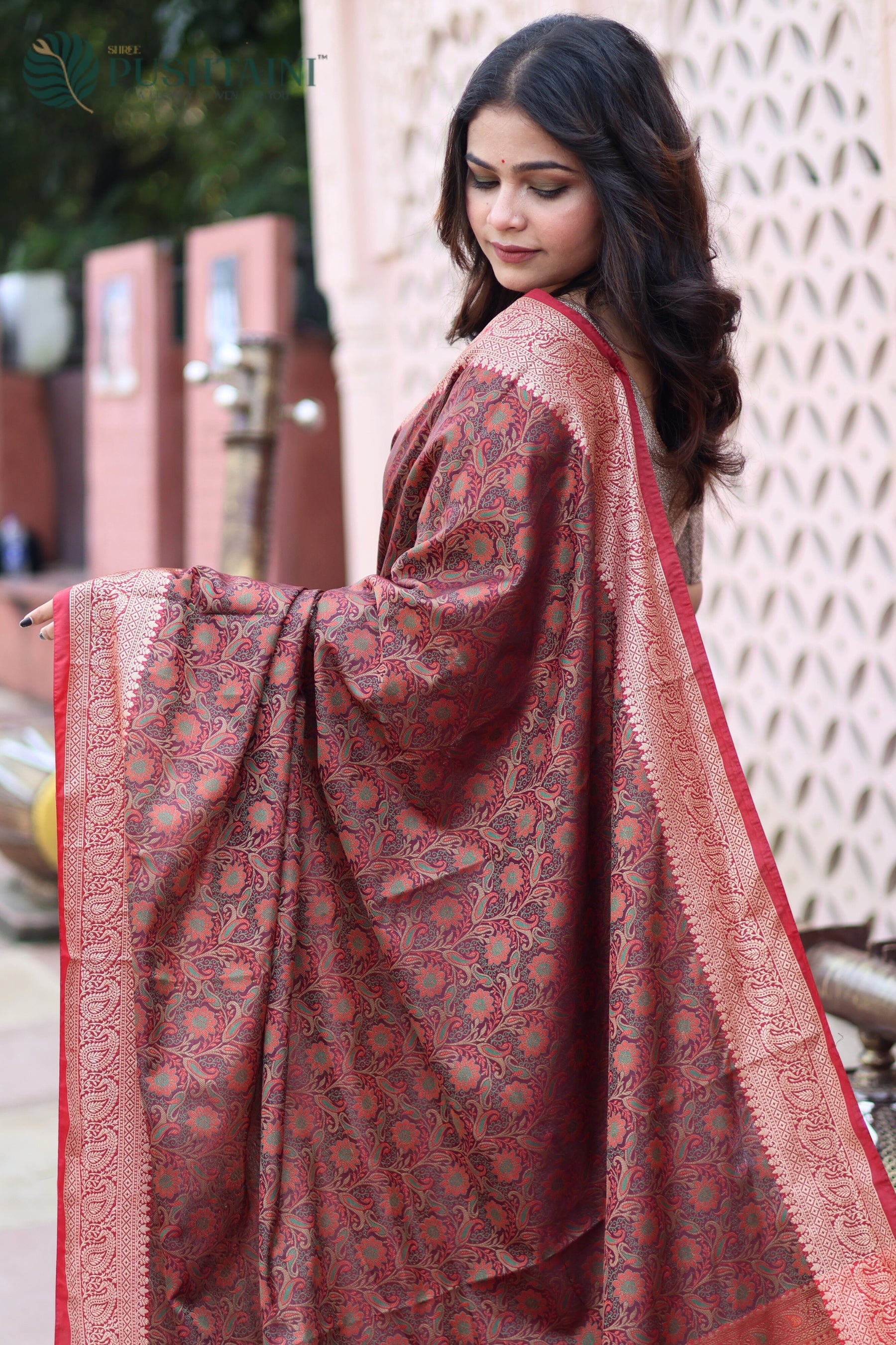 Brown Semi Katan Tanchoi Silk Banarasi Saree with Multi Meenakari Touch