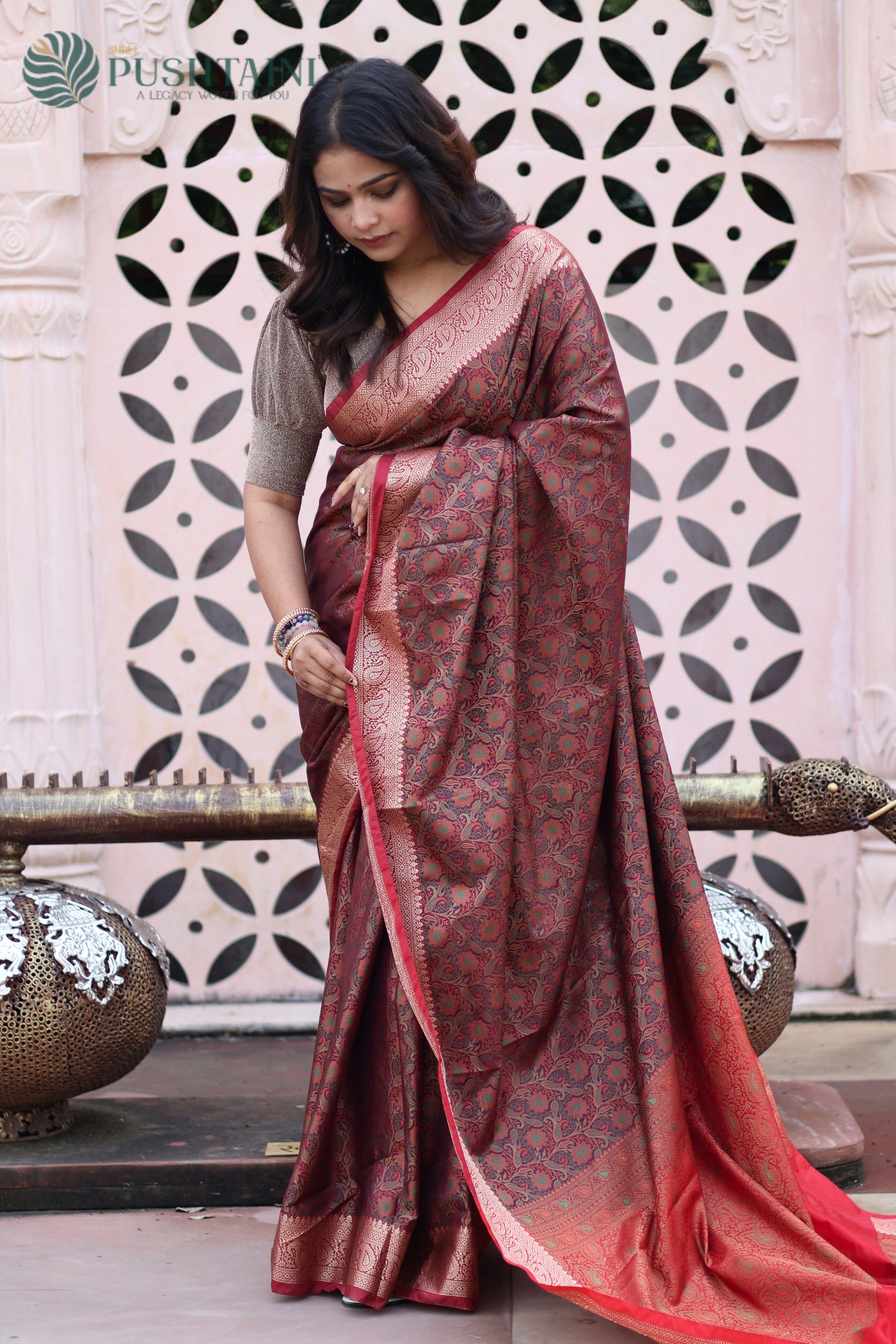 Brown Semi Katan Tanchoi Silk Banarasi Saree with Multi Meenakari Touch