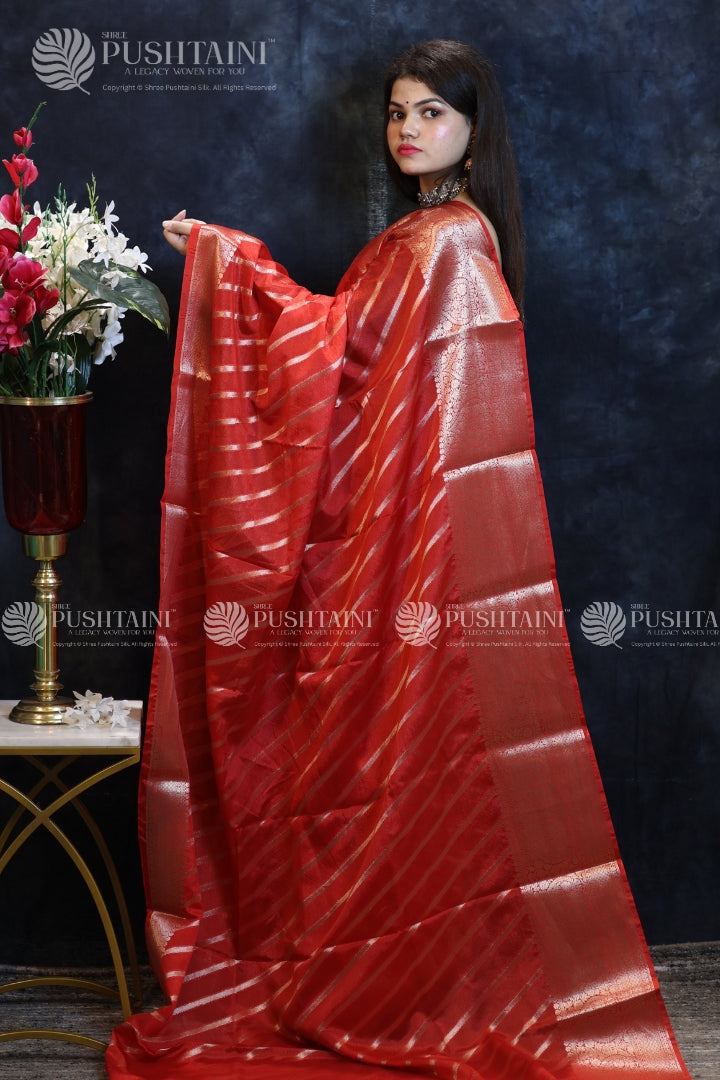 Red Warm Silk Fancy Saree