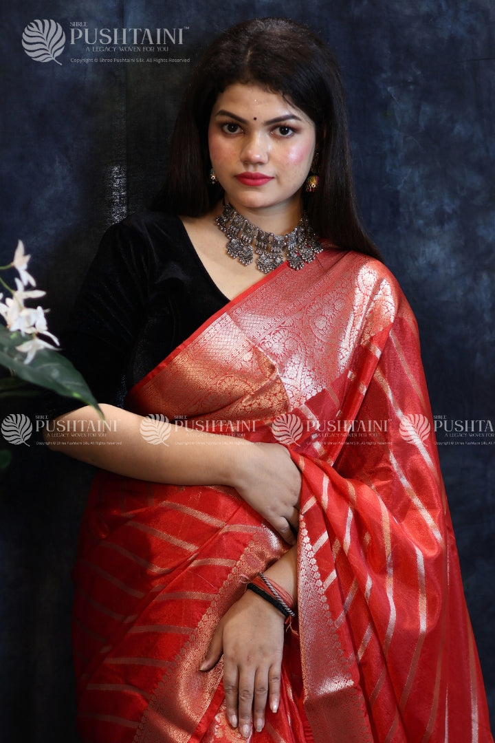 Red Warm Silk Fancy Saree