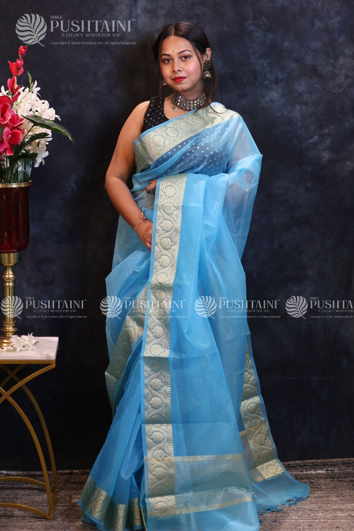 Sky Blue Anchal Border Saree