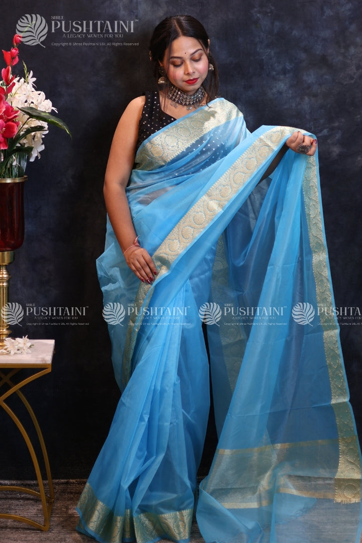 Sky Blue Anchal Border Saree