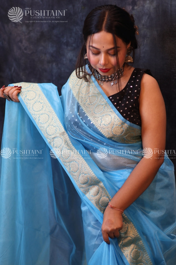 Sky Blue Anchal Border Saree