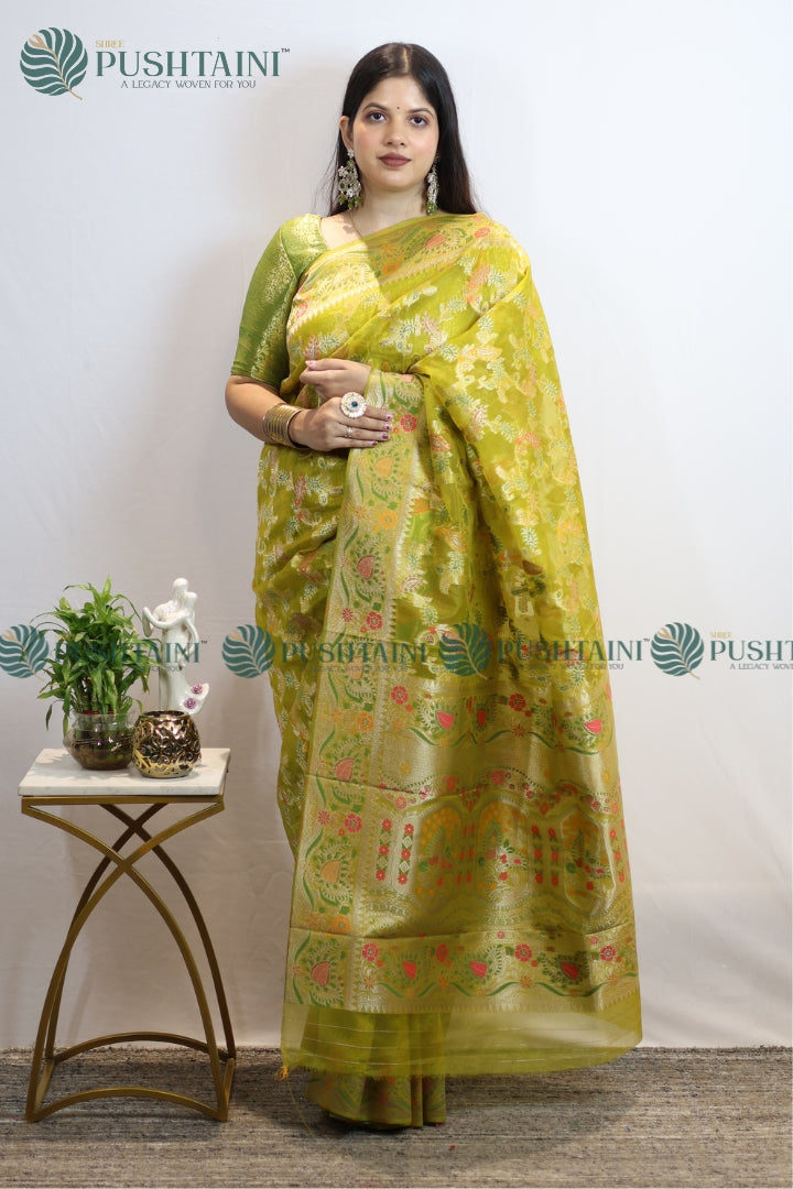 Mint Green Banarasi Kora Silk Jaal Saree