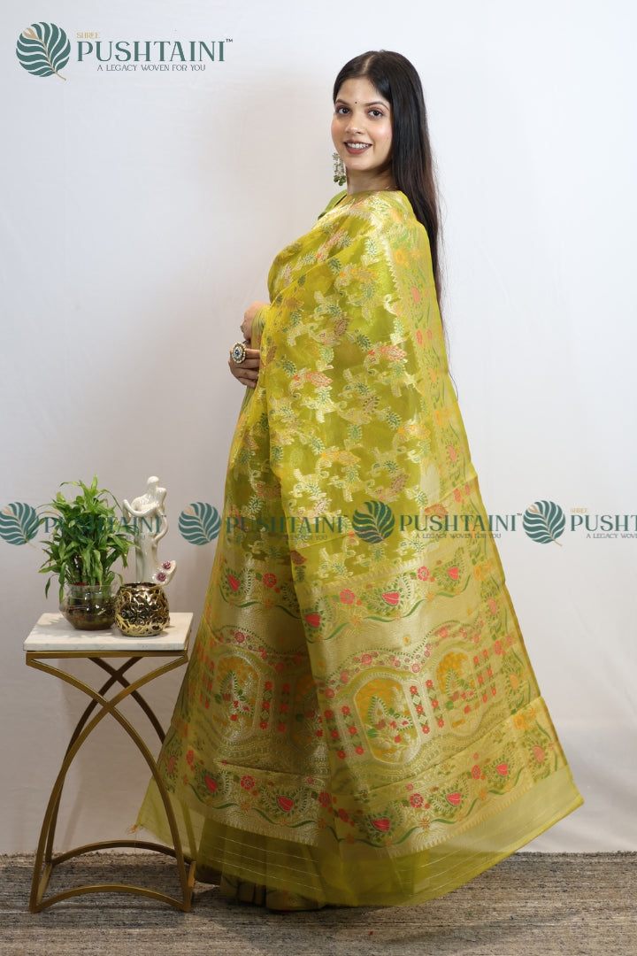 Mint Green Banarasi Kora Silk Jaal Saree