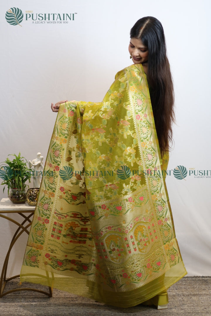 Mint Green Banarasi Kora Silk Jaal Saree