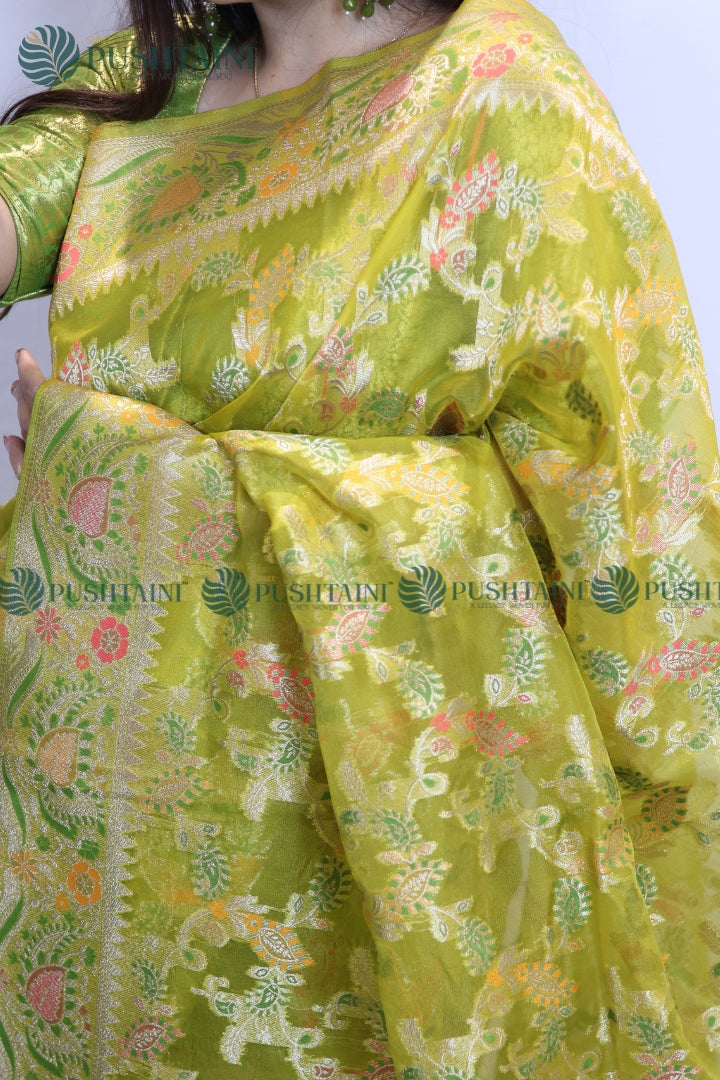 Mint Green Banarasi Kora Silk Jaal Saree