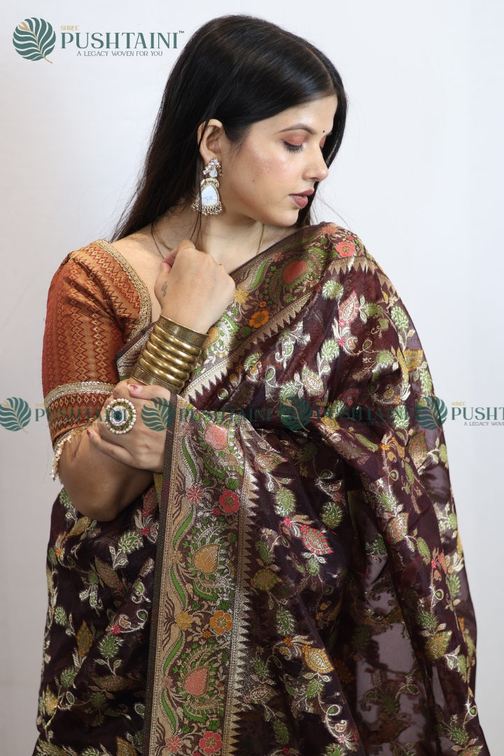 Brown Banarasi Kora Silk Jaal Saree
