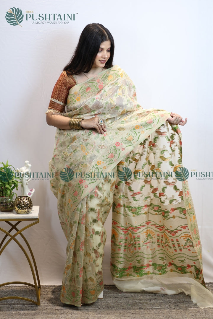 Cream Banarasi Kora Silk Jaal Saree