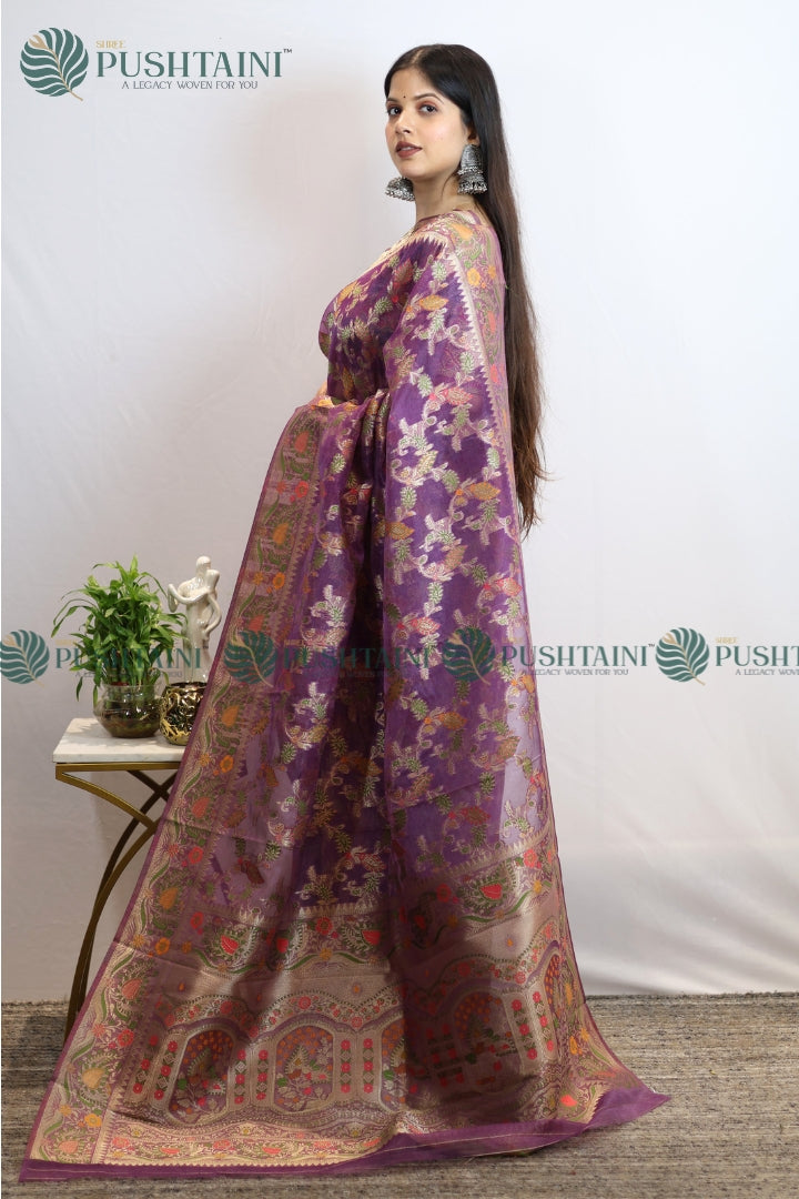 Lavishing Purple Banarasi Kora Silk Jaal Saree